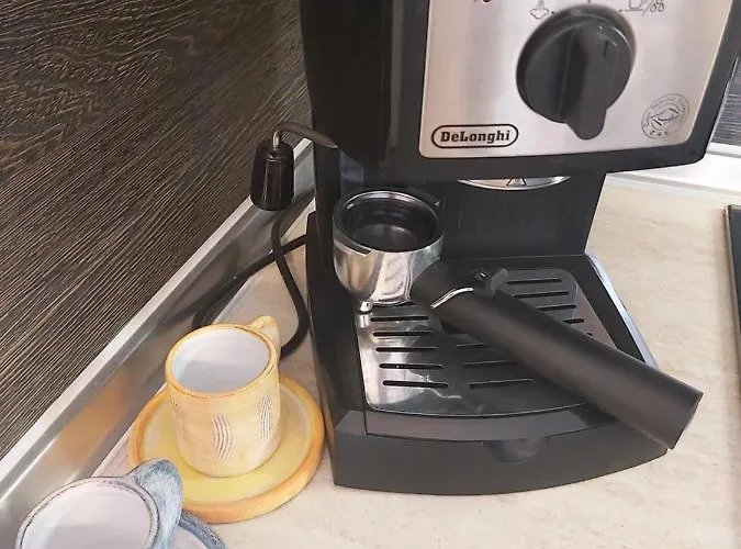 Sea Paradise * سفيتي فلاس