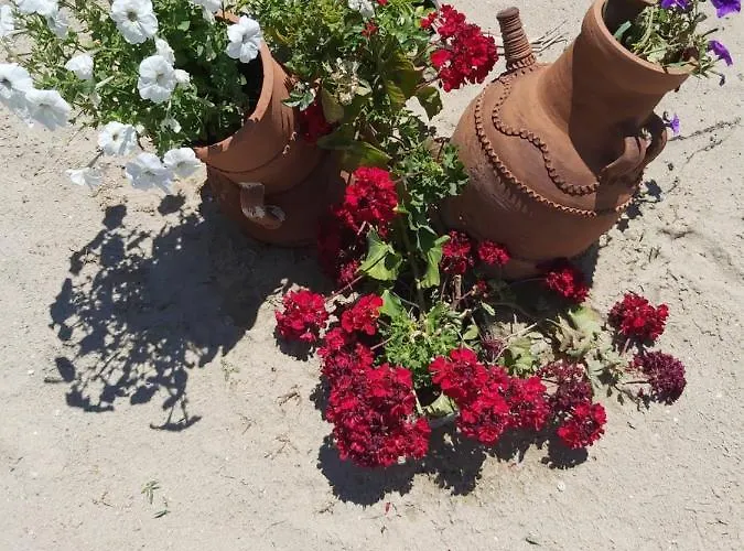 Sea Paradise * سفيتي فلاس